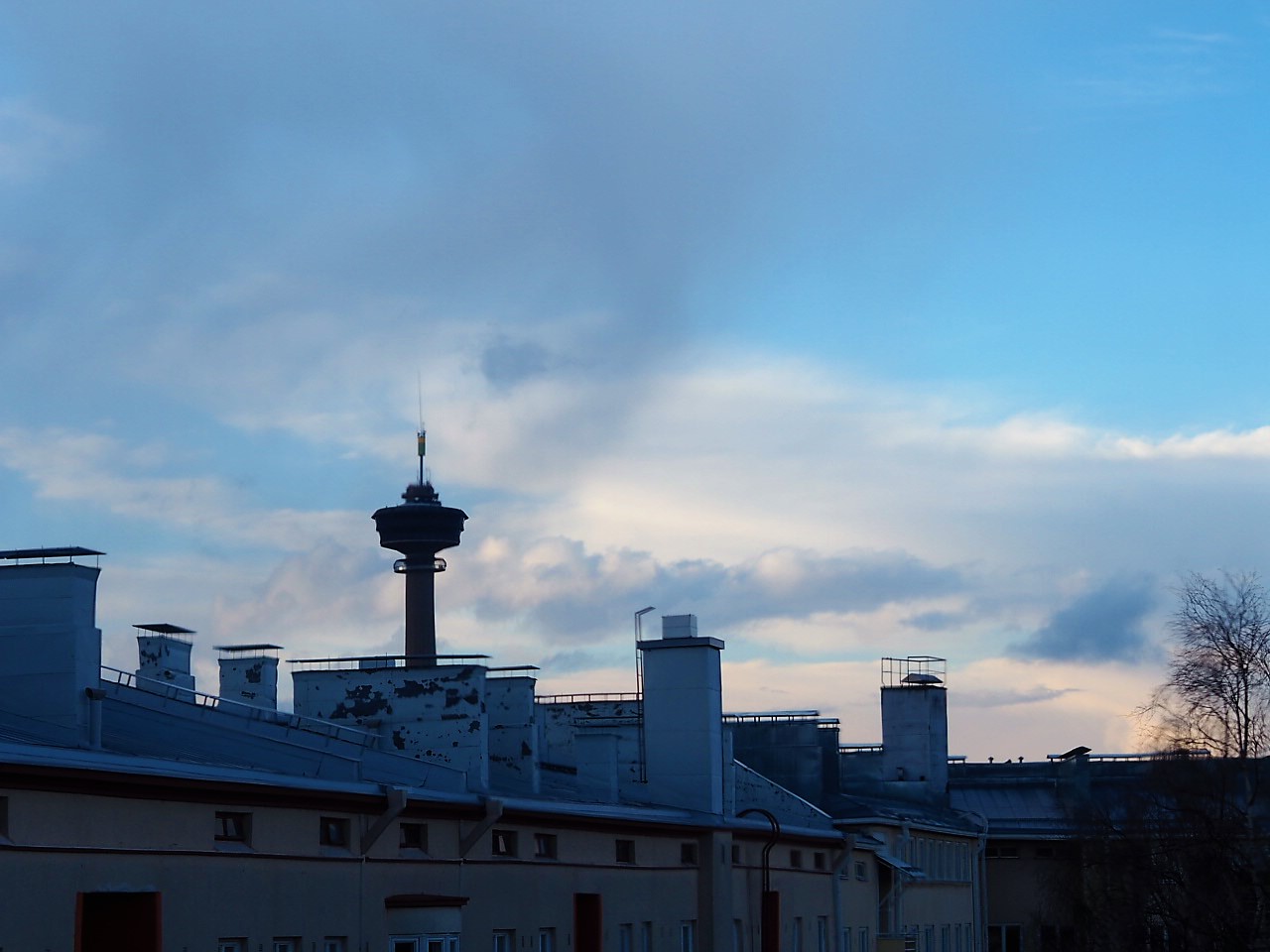 P1010637.JPG