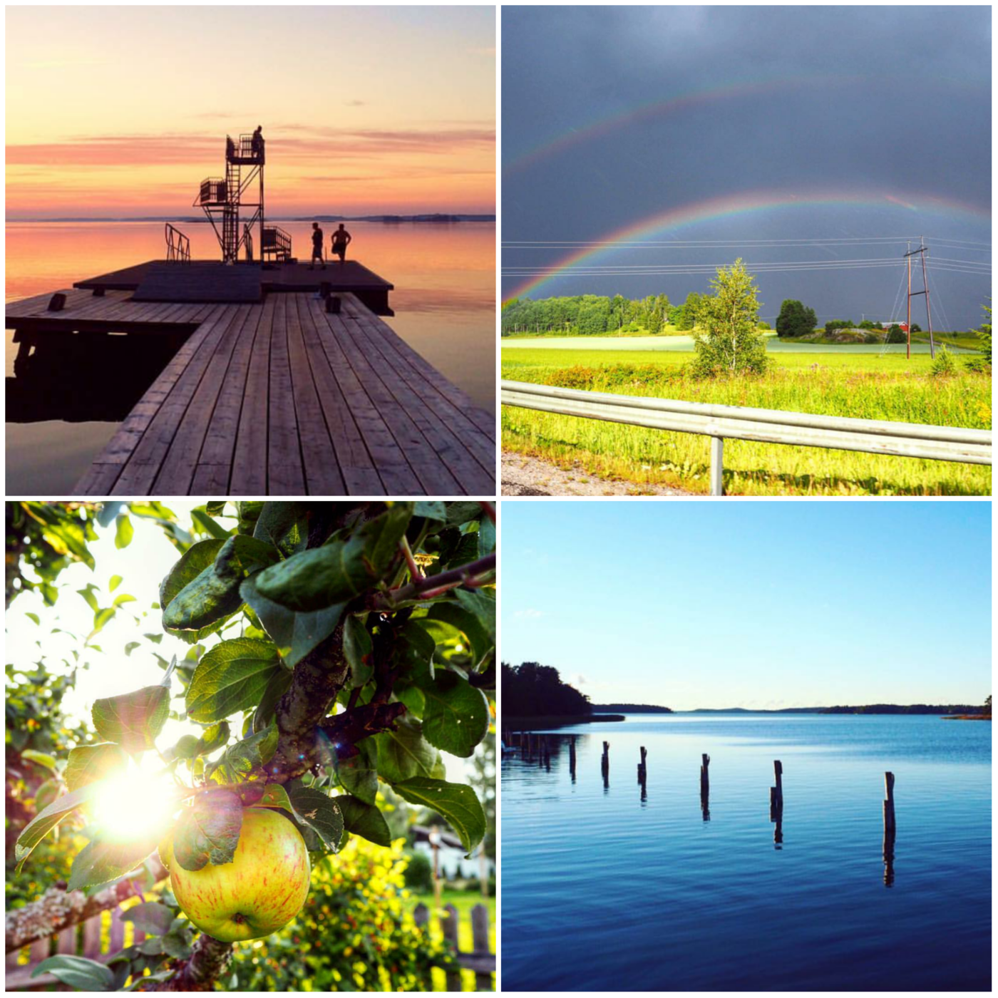 PhotoGrid_1483231803008.png