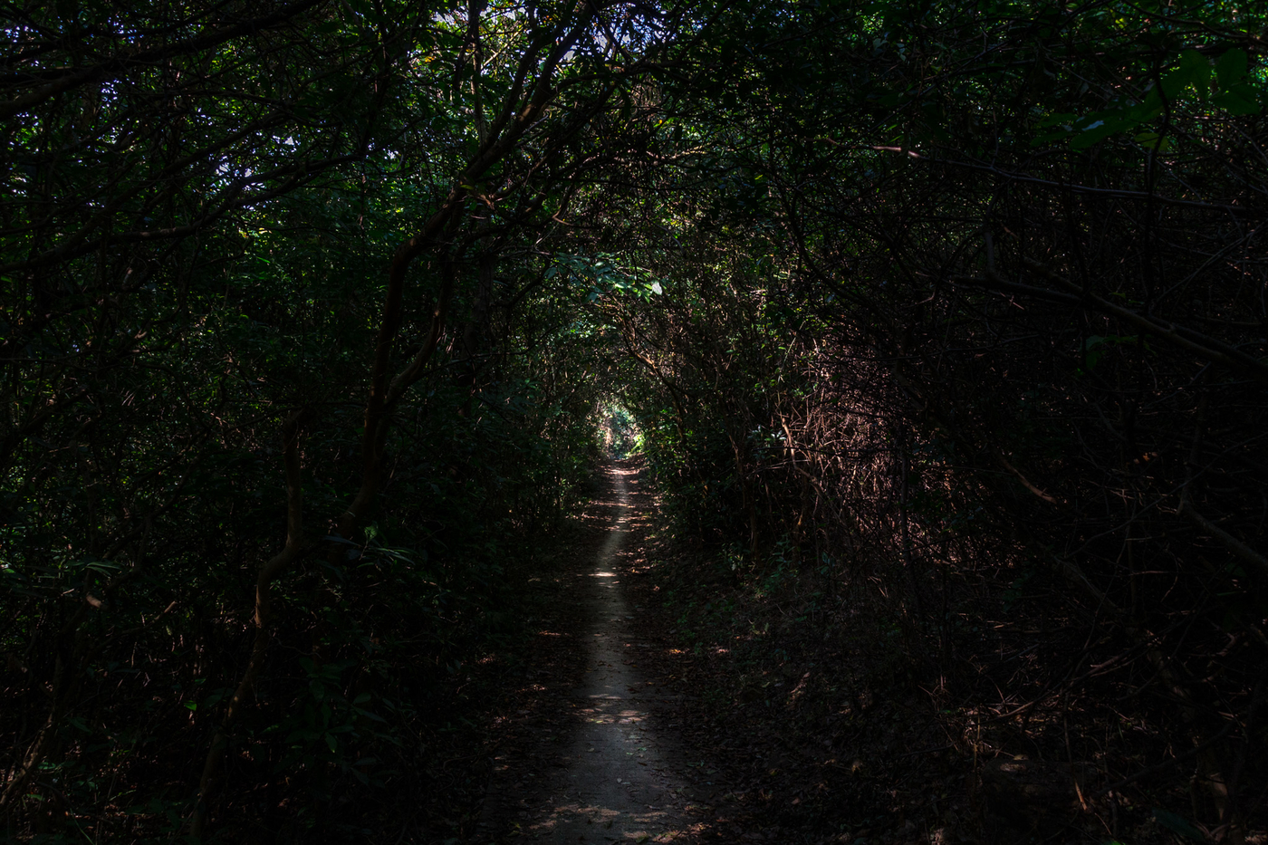 lantau-trail-5.jpg