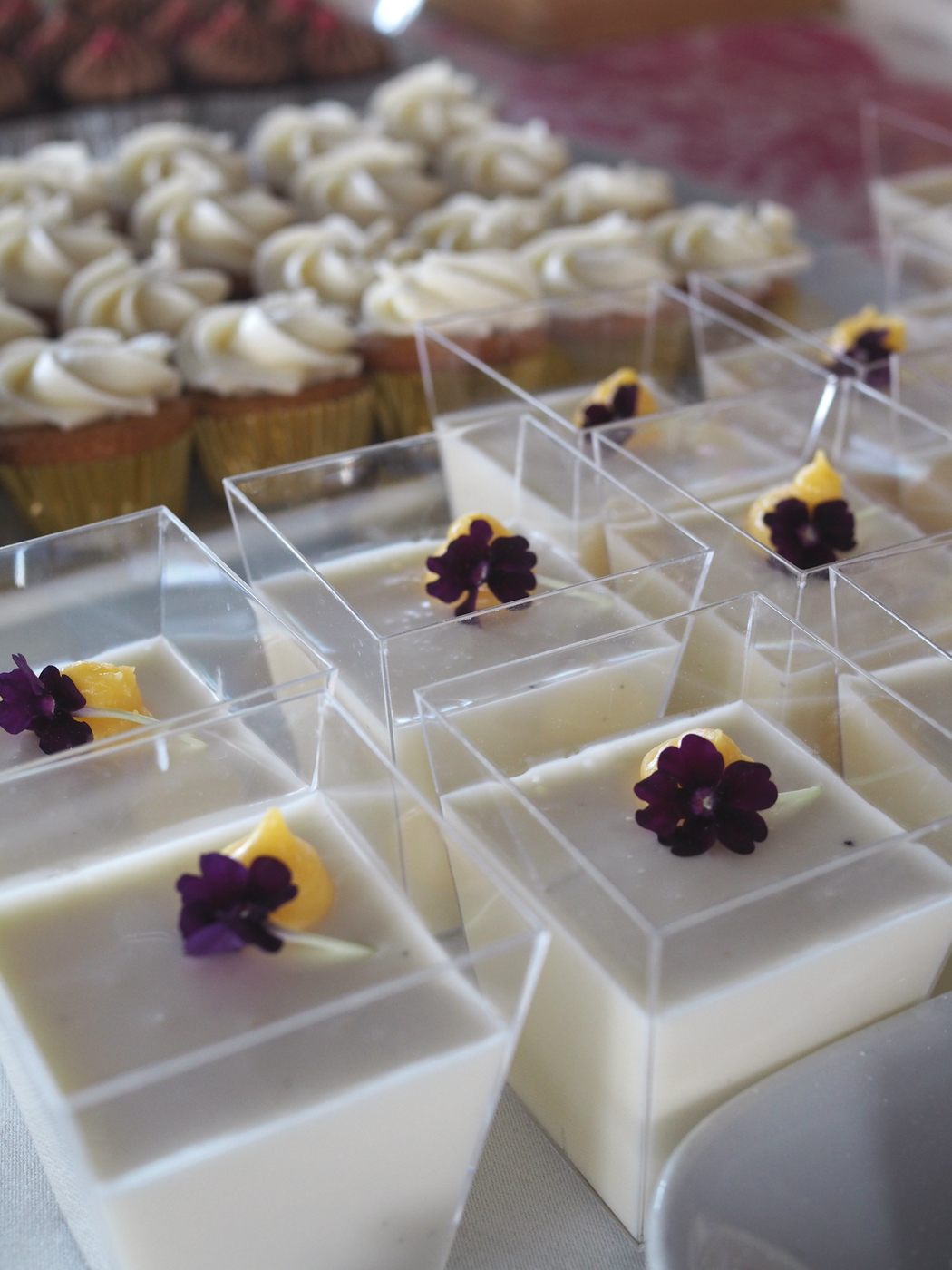 jugurtti-pannacotta.jpg