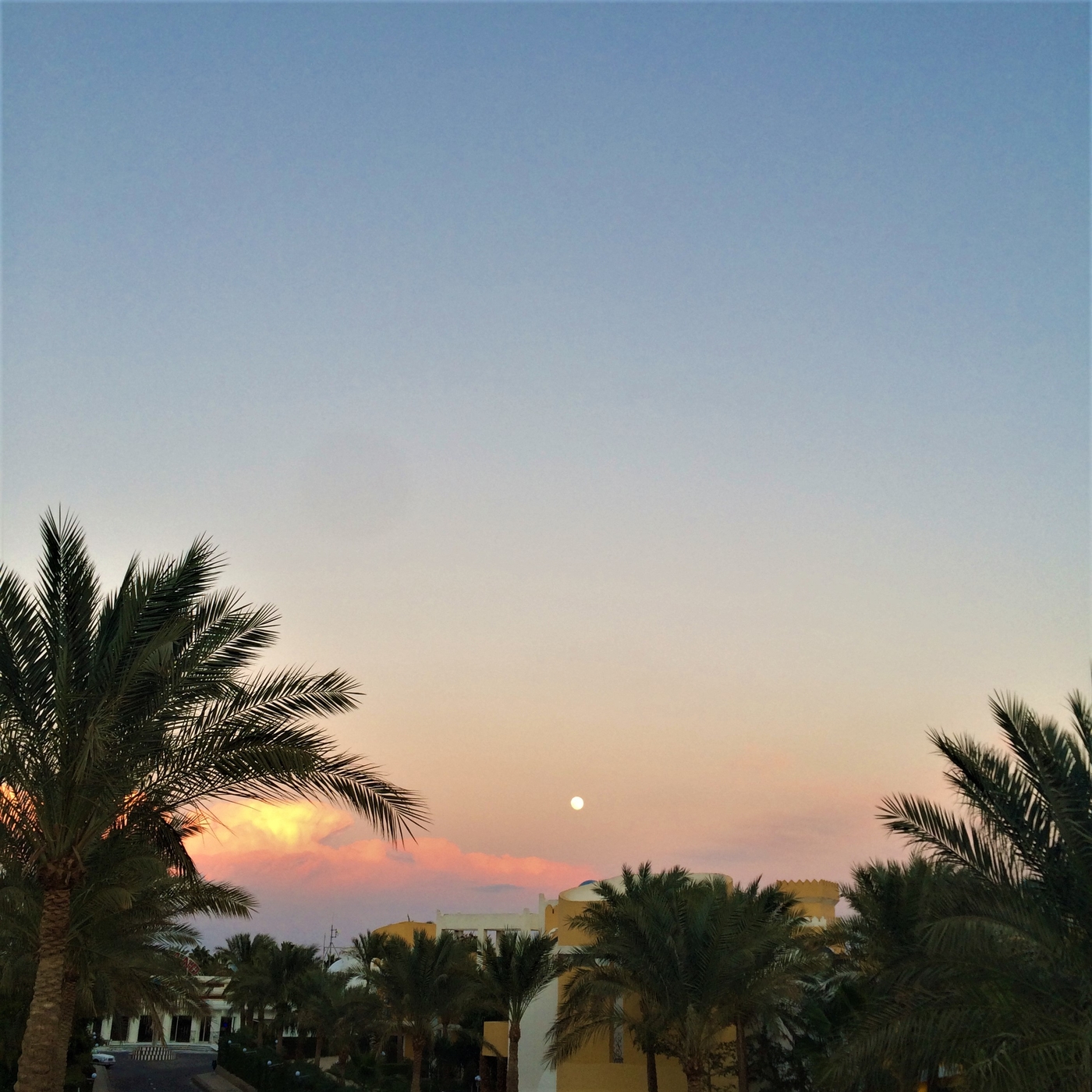 IMG_1400.JPG