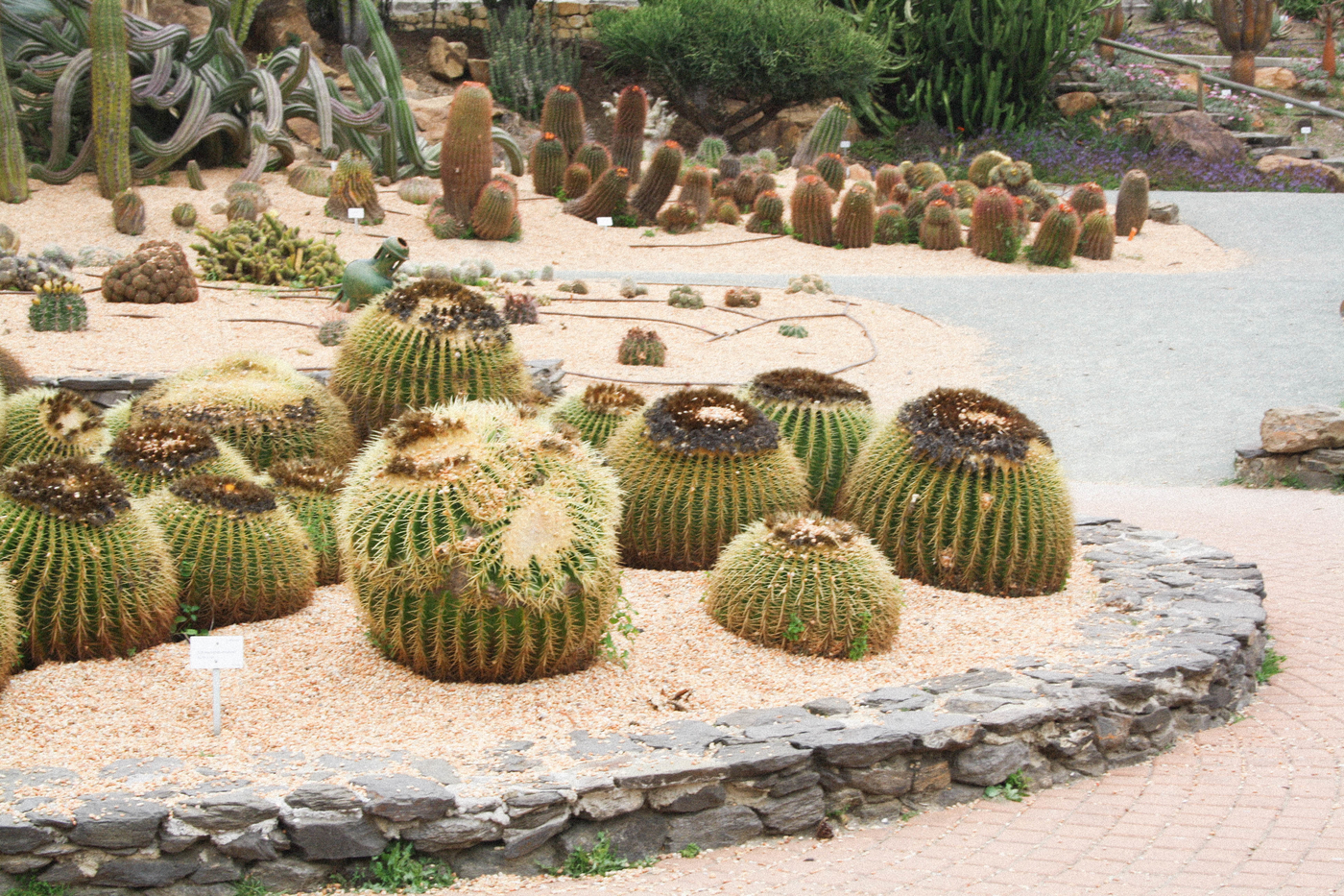 parquedelapaloma14.jpg