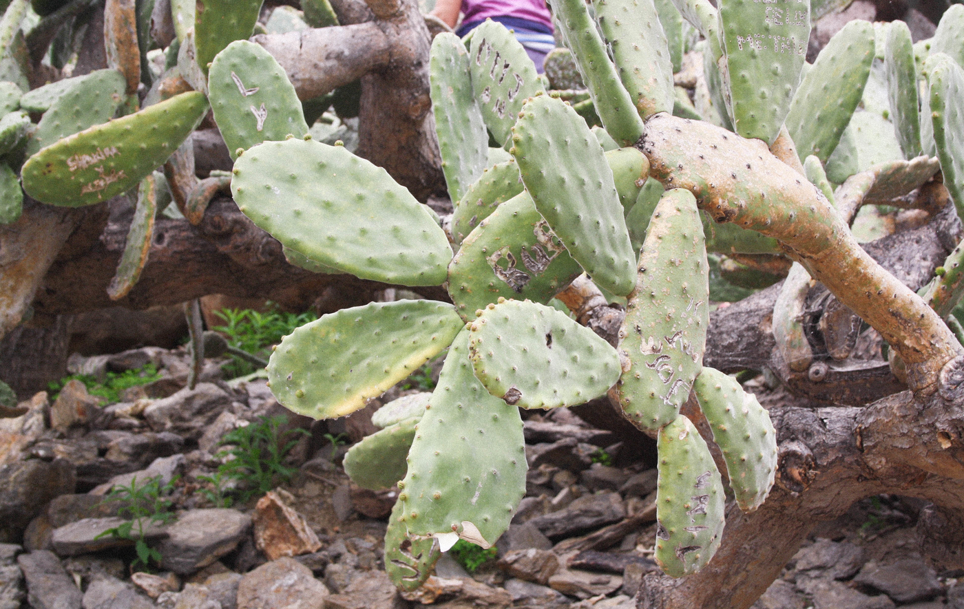 parquedelapaloma2.jpg