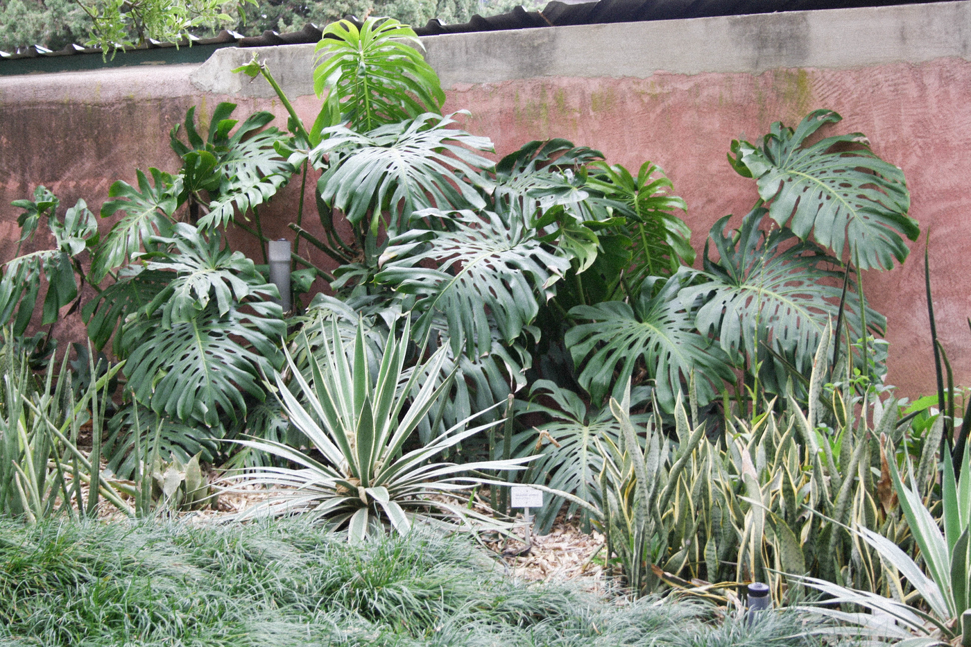 parquedelapaloma4.jpg
