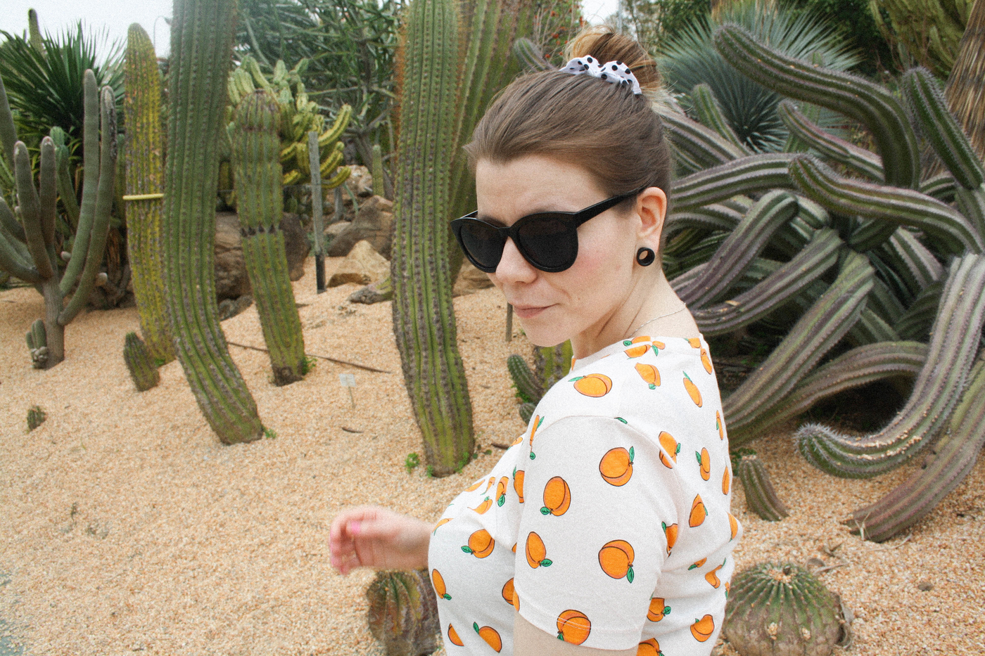 parquedepaloma1.jpg