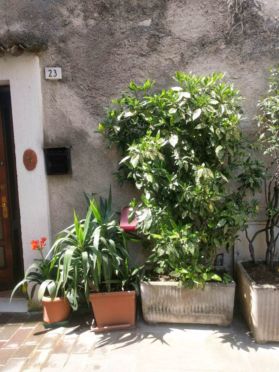 sirmione26.jpg