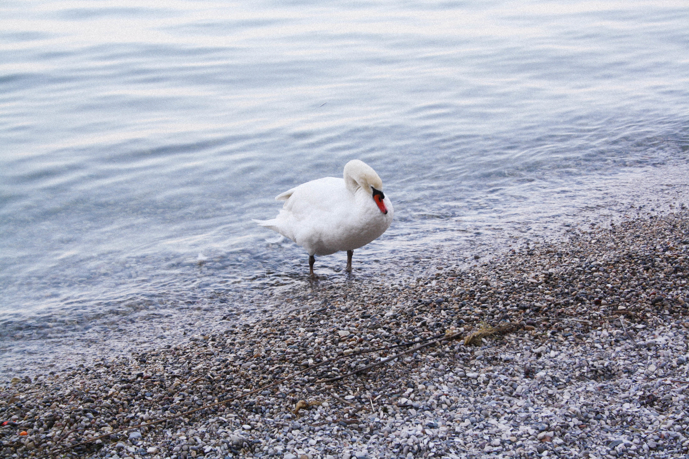 sirmione2.jpg