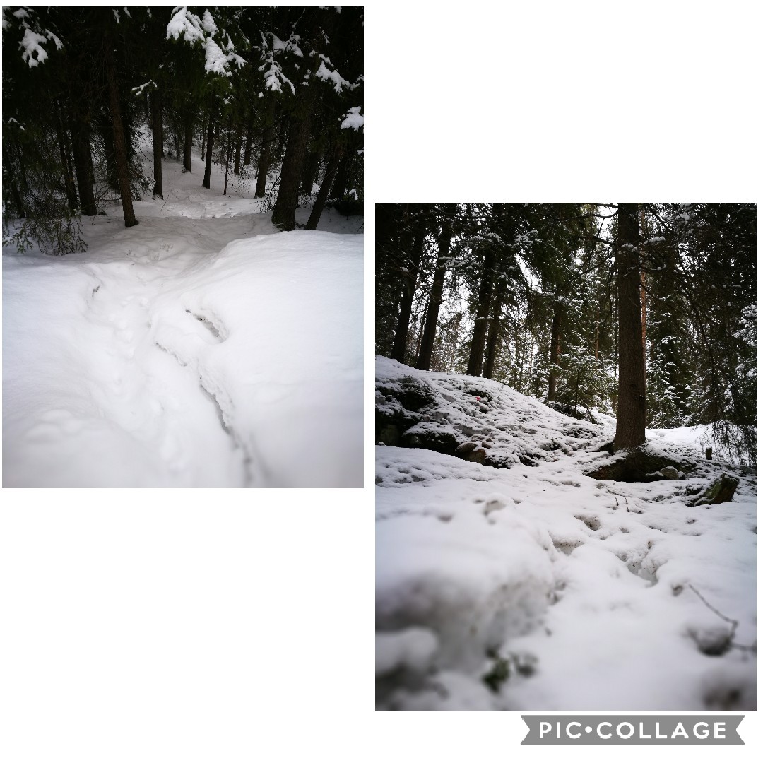 Polkujen viemää