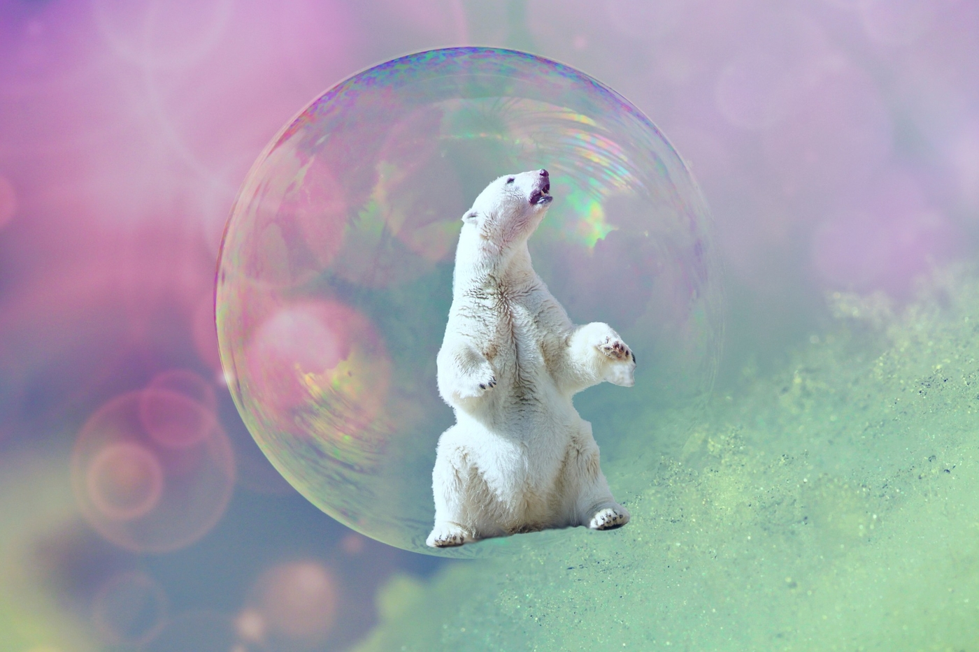 soap-bubble-2003436_1920.jpg
