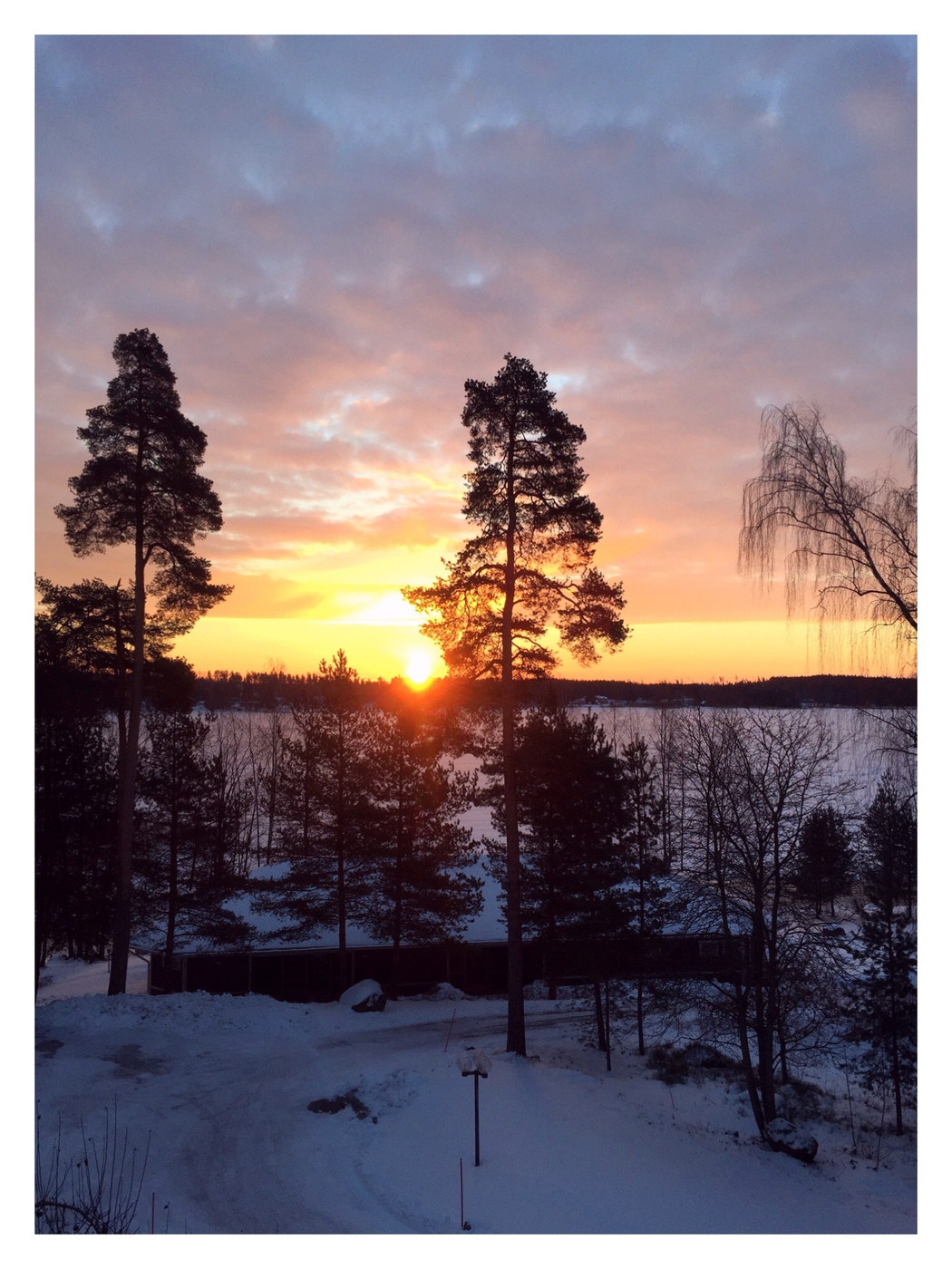 2017-02-25 16.31.09.jpg
