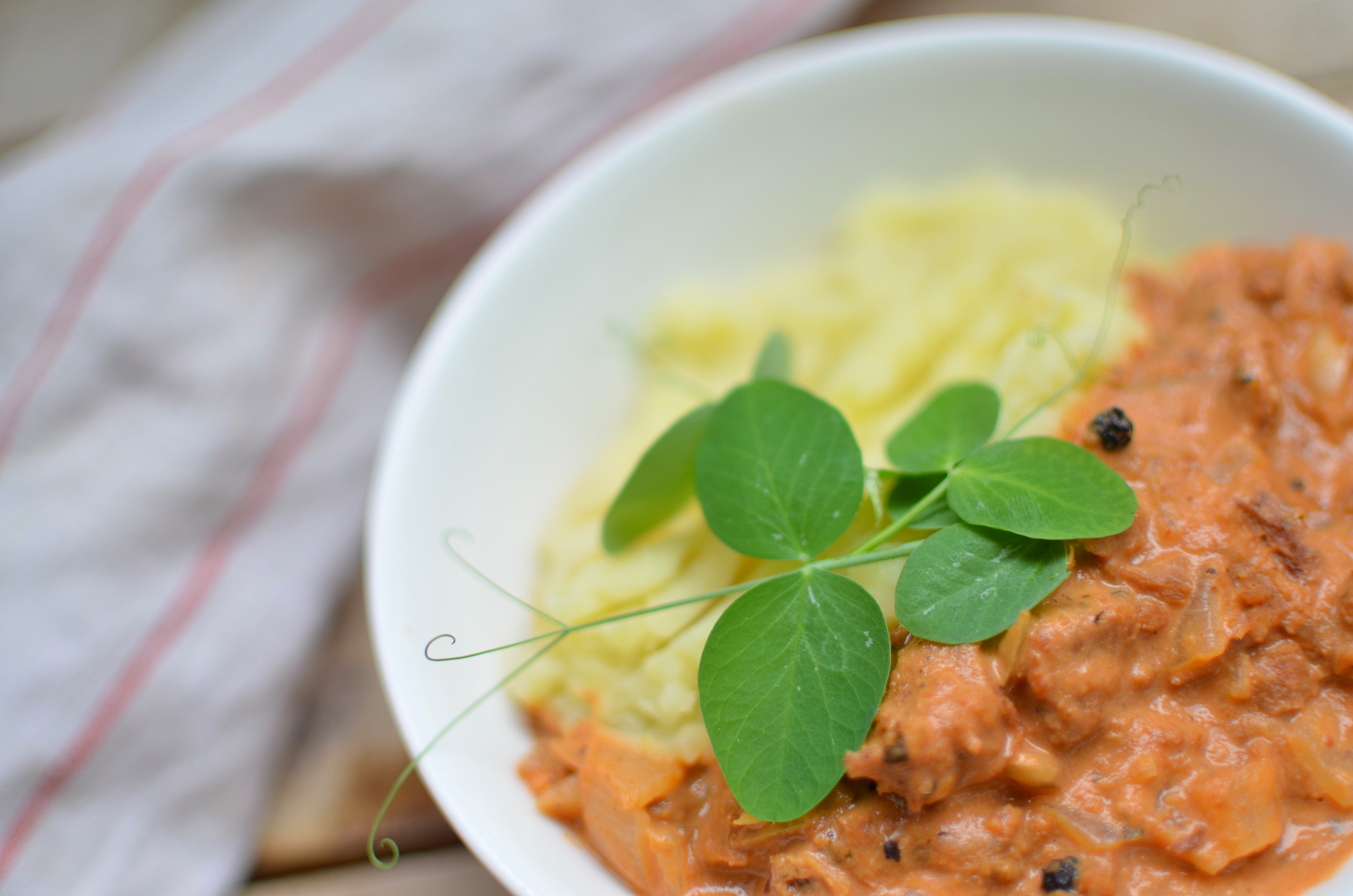 Kermainen Nyhtökaura-tomaattikastike. – Vegepäiväkirjani | Lily