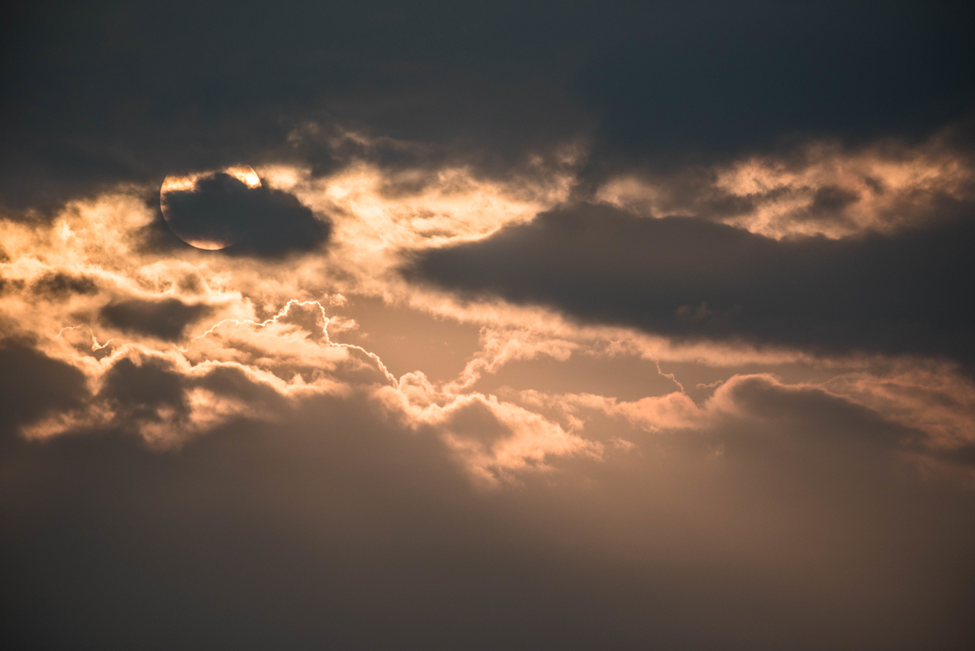 dsc_1815.jpg