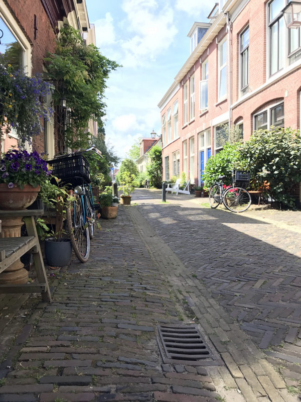 haarlem2.jpg