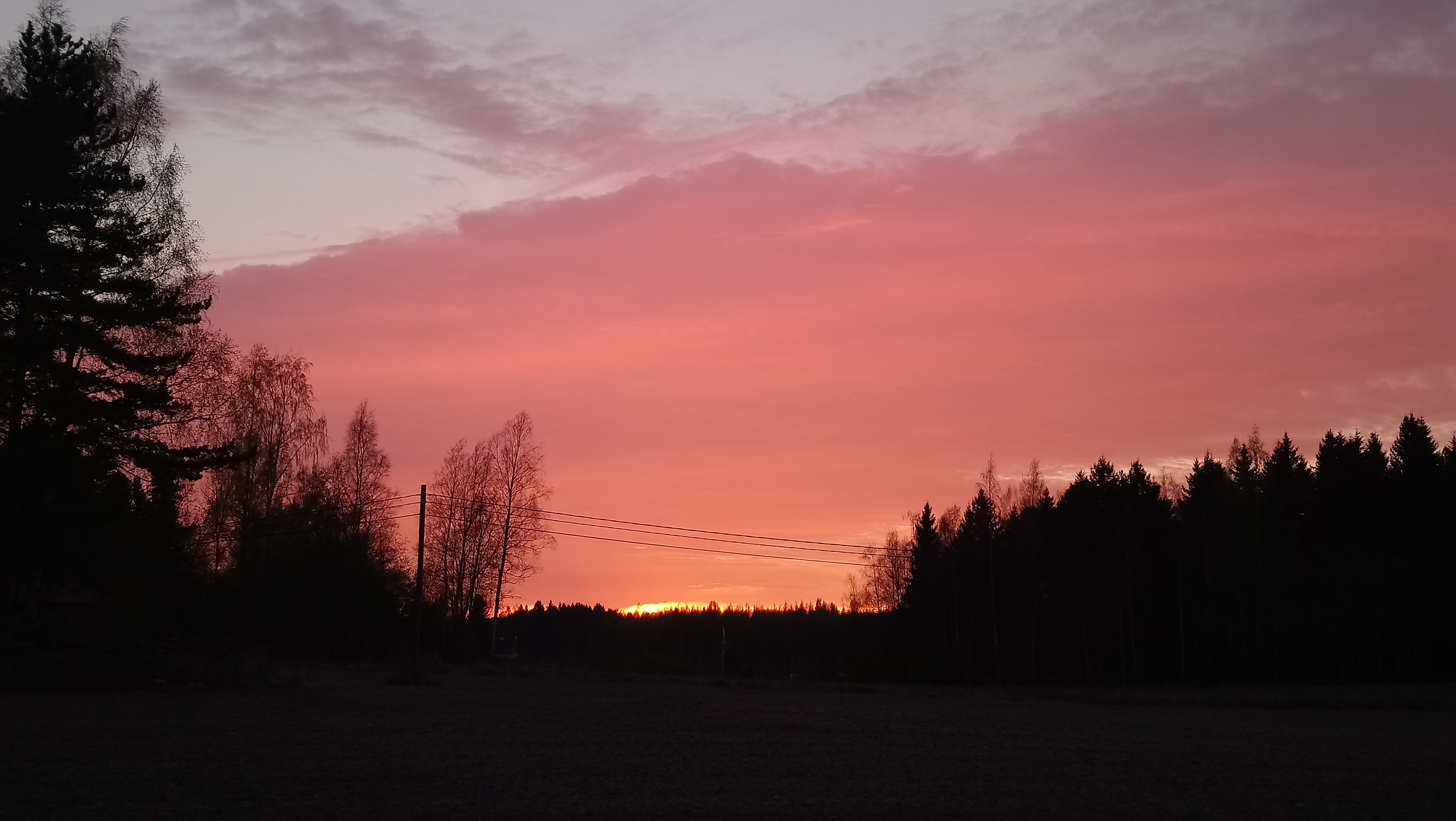 dsc_0021.jpg dsc_0021.jpg