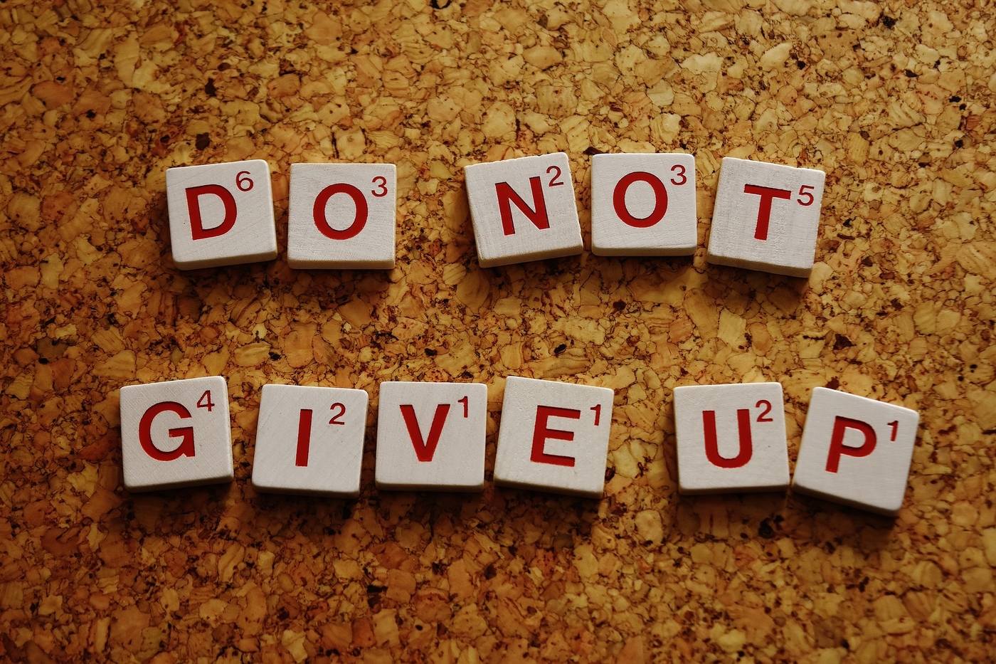 do-not-give-up-2015253_1920.jpg