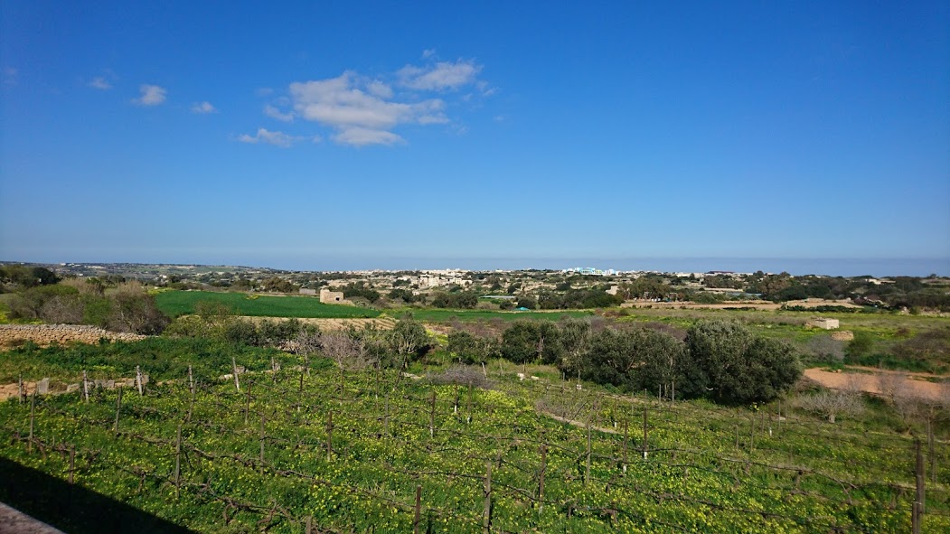 DSC_2135.JPG
