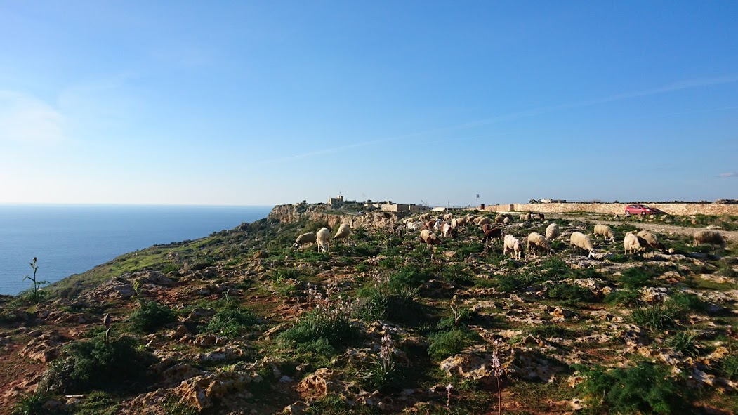 DSC_2145.JPG