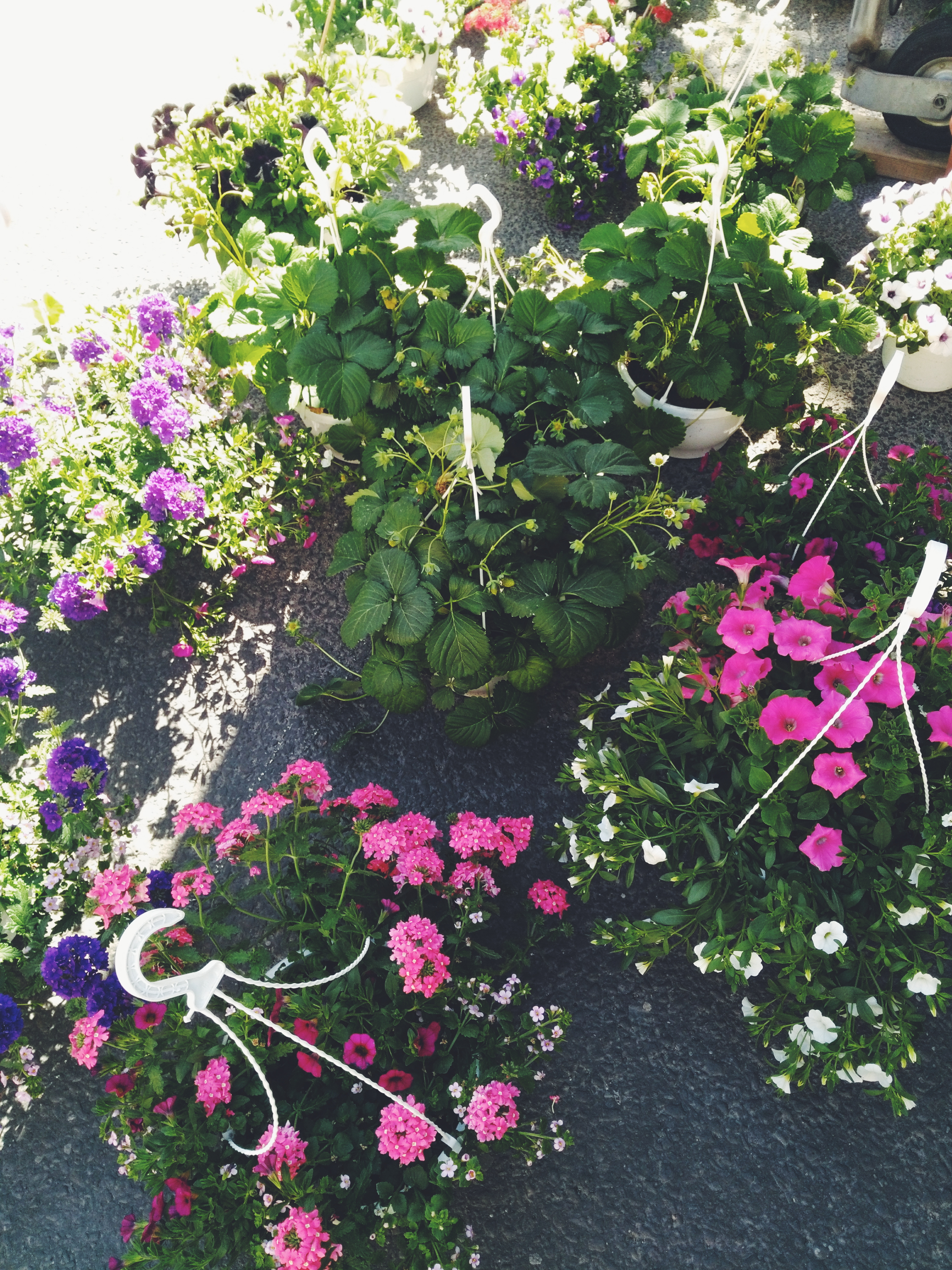 2018-05-21_09.58.03_1.jpg