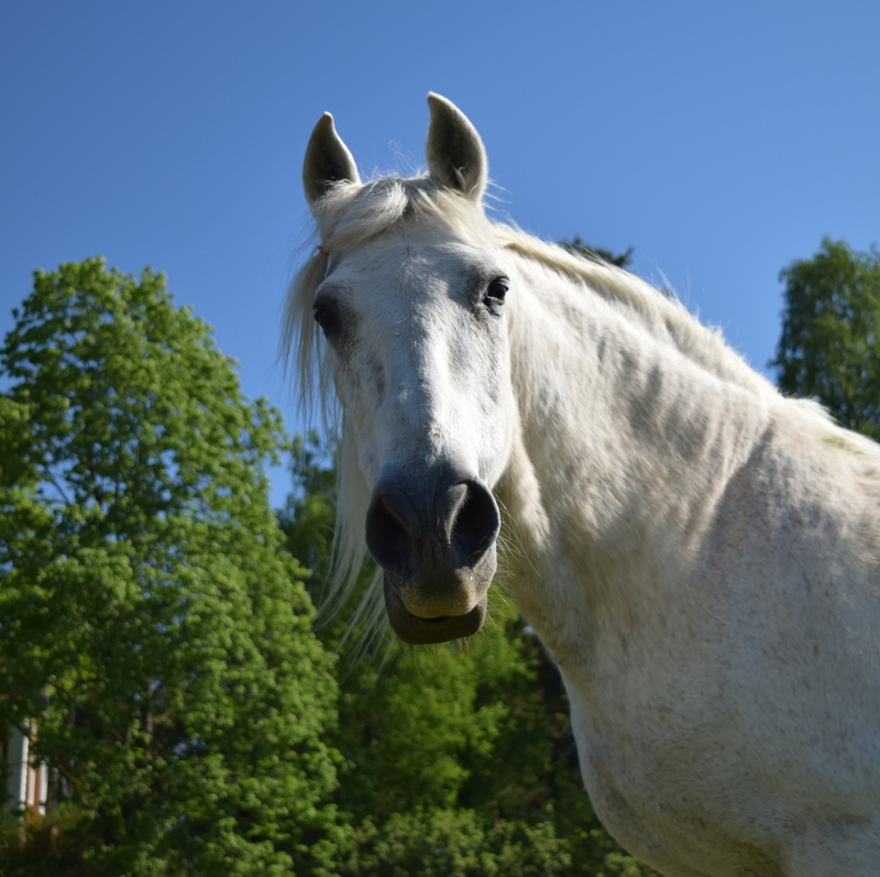 DSC_0376.JPG