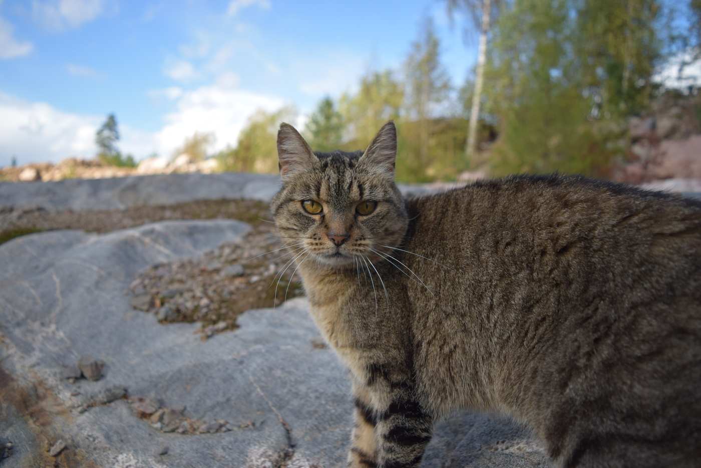 DSC_0512.JPG