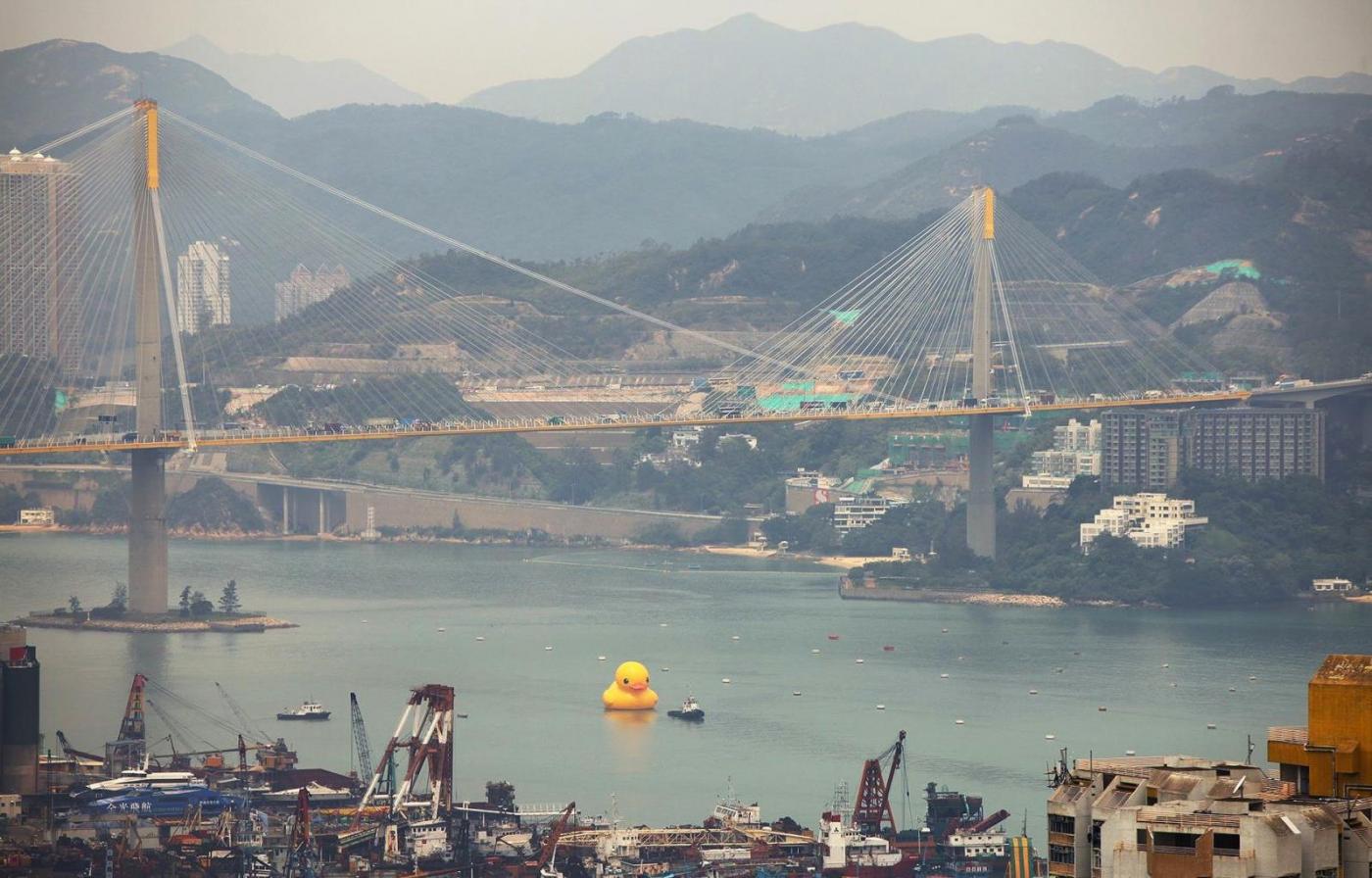 urban_duck02.jpg