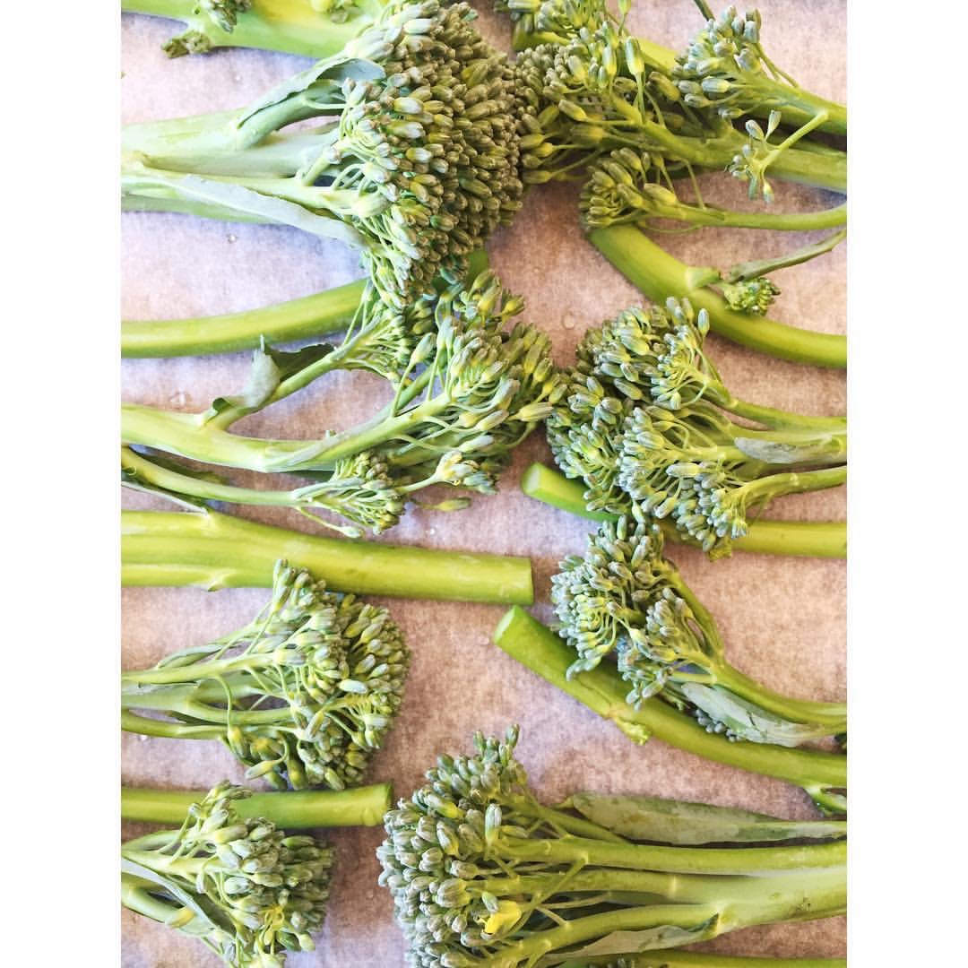 Gastronaatti - Arkiruokaa - Broccolini.JPG