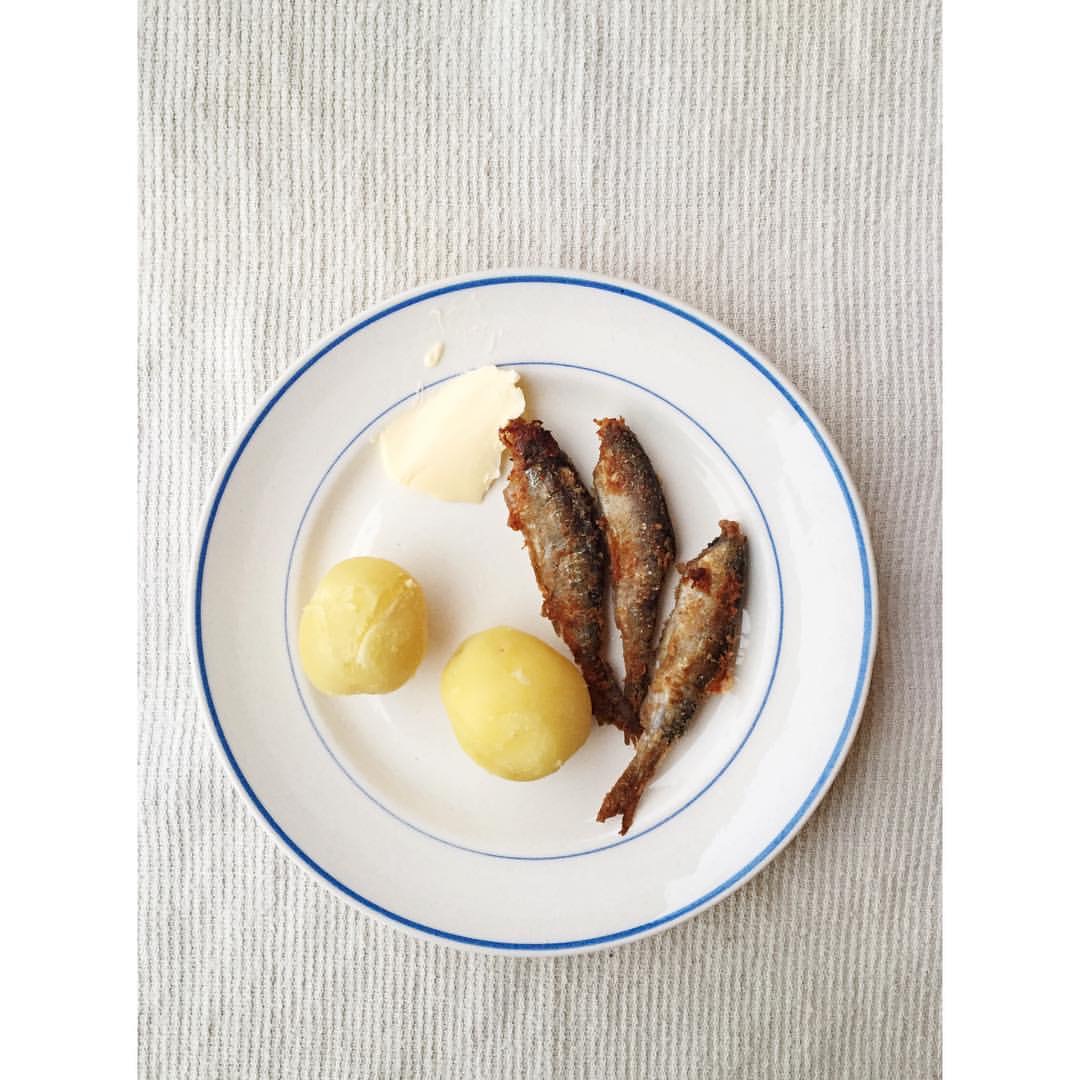 Gastronaatti - muikut.JPG