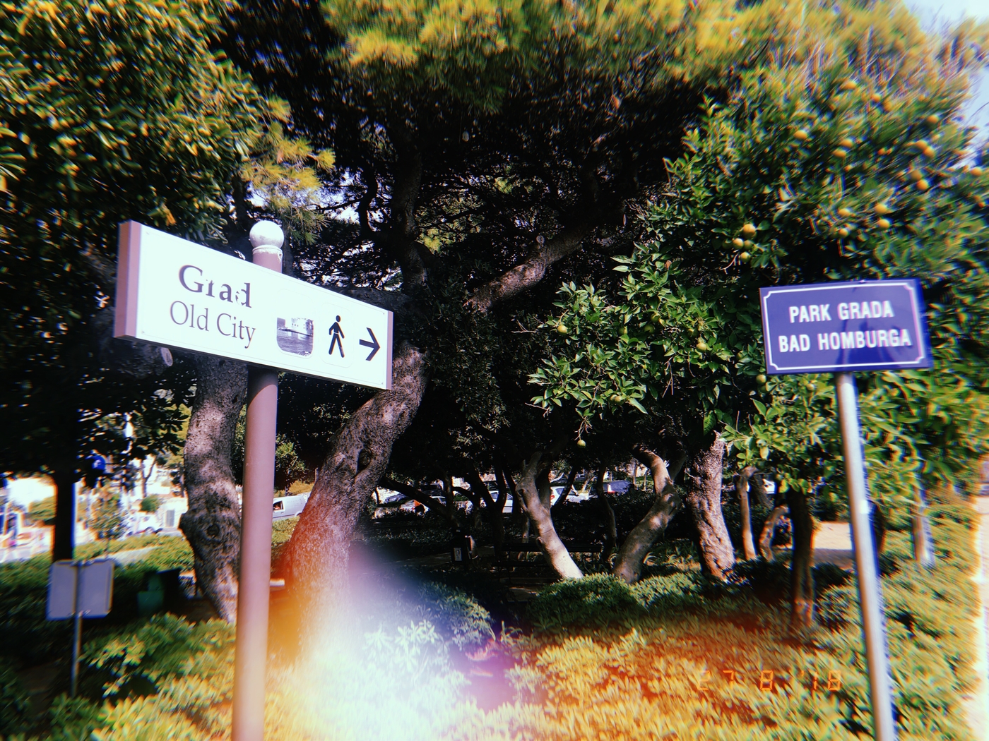 20180827_130905440_iOS.jpg