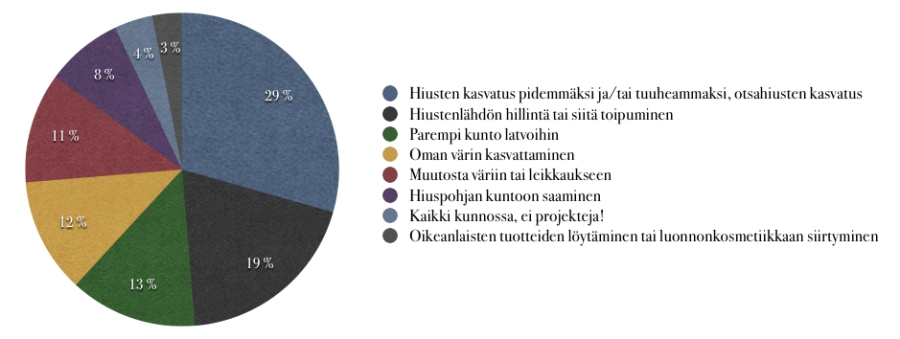 Hiusprojektit.jpg
