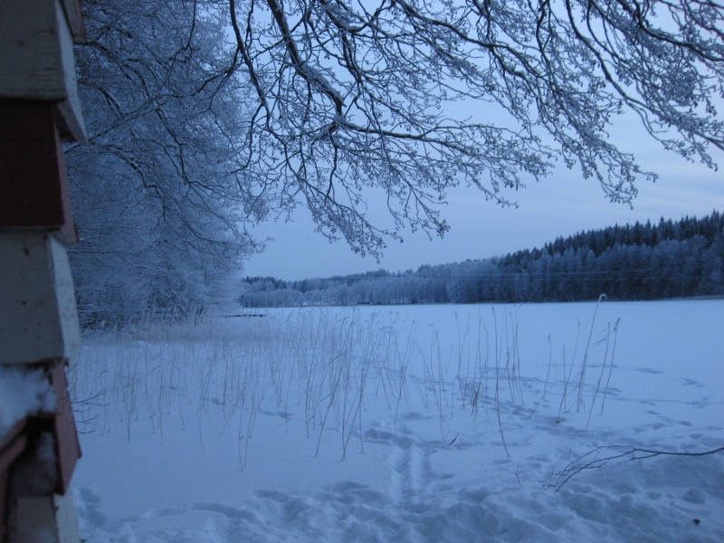 Raitisilmariippuvuus