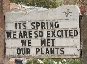 funny-spring-wet-plants-joke.jpg