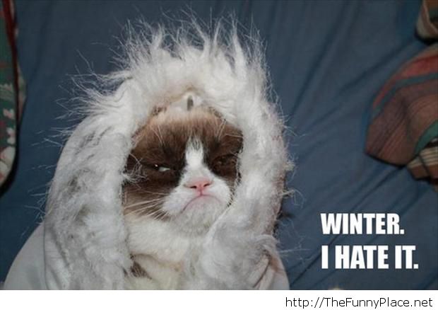 i-hate-winter.jpg