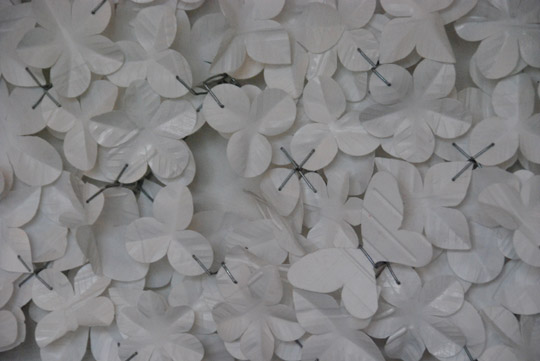 mums_14.jpg