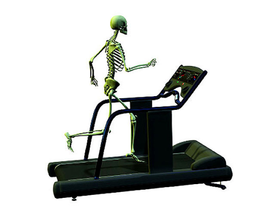 skeleton_treadmill_540x405.jpg