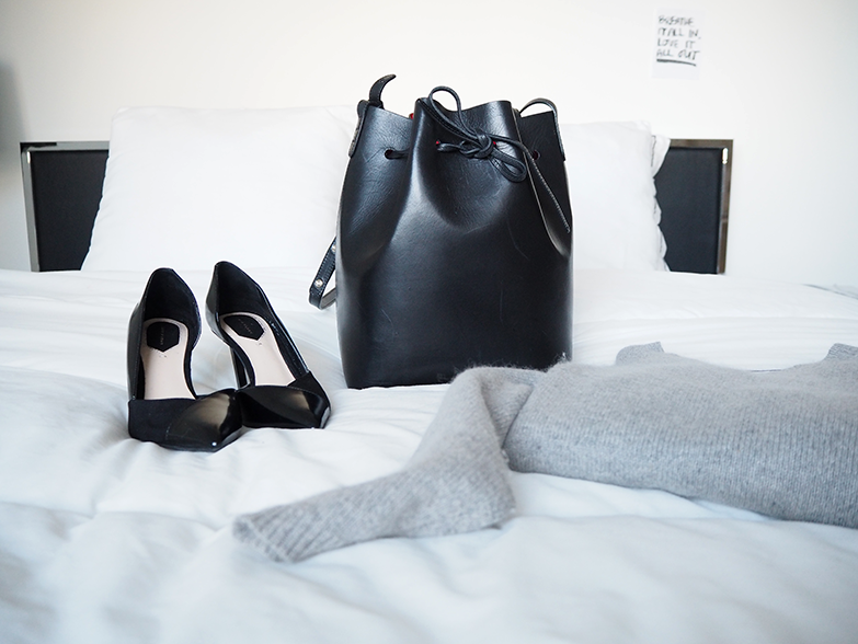 Mansur Gavriel Bucket bag.png