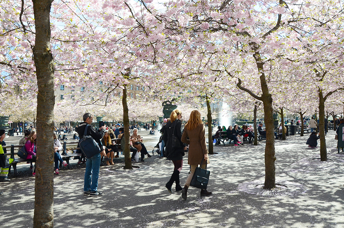 Stockholm_5.jpg