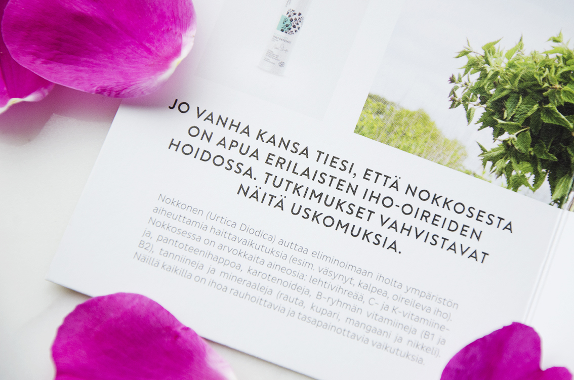 Madara_nokkonen_4.jpg