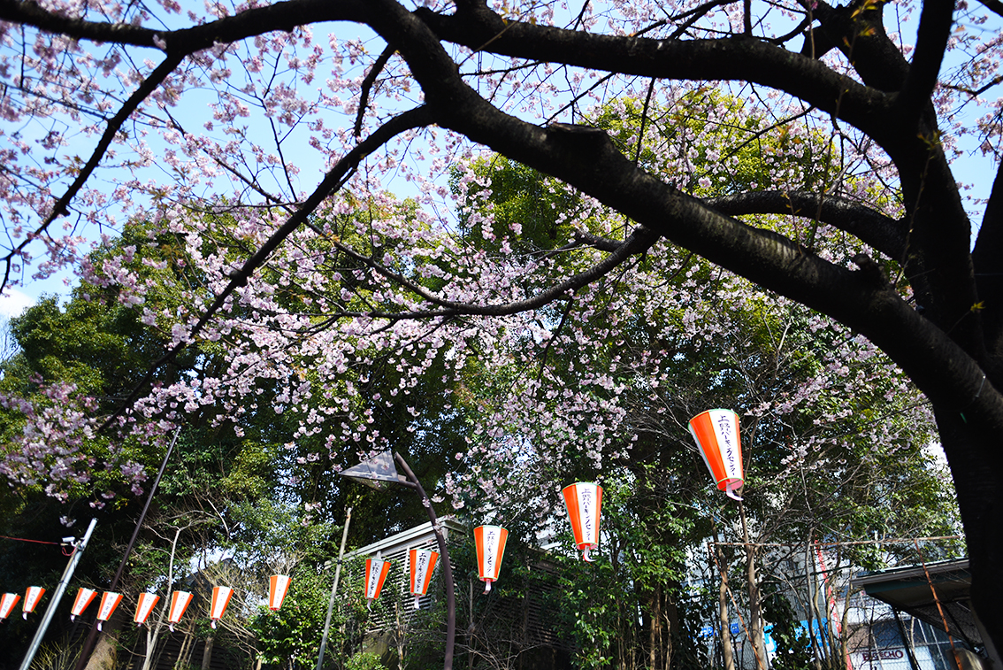 tokyo_12.jpg