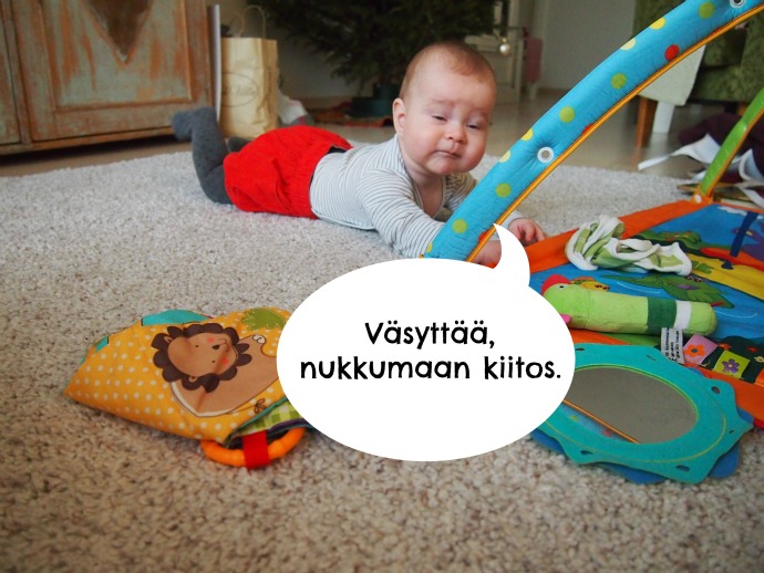 filppu3.jpg