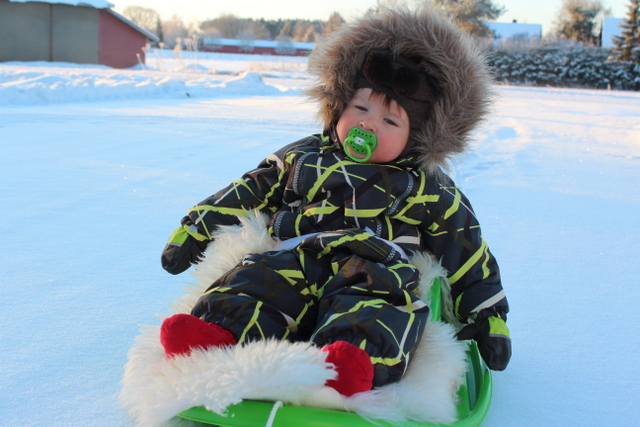 tammikuu13_018.jpg