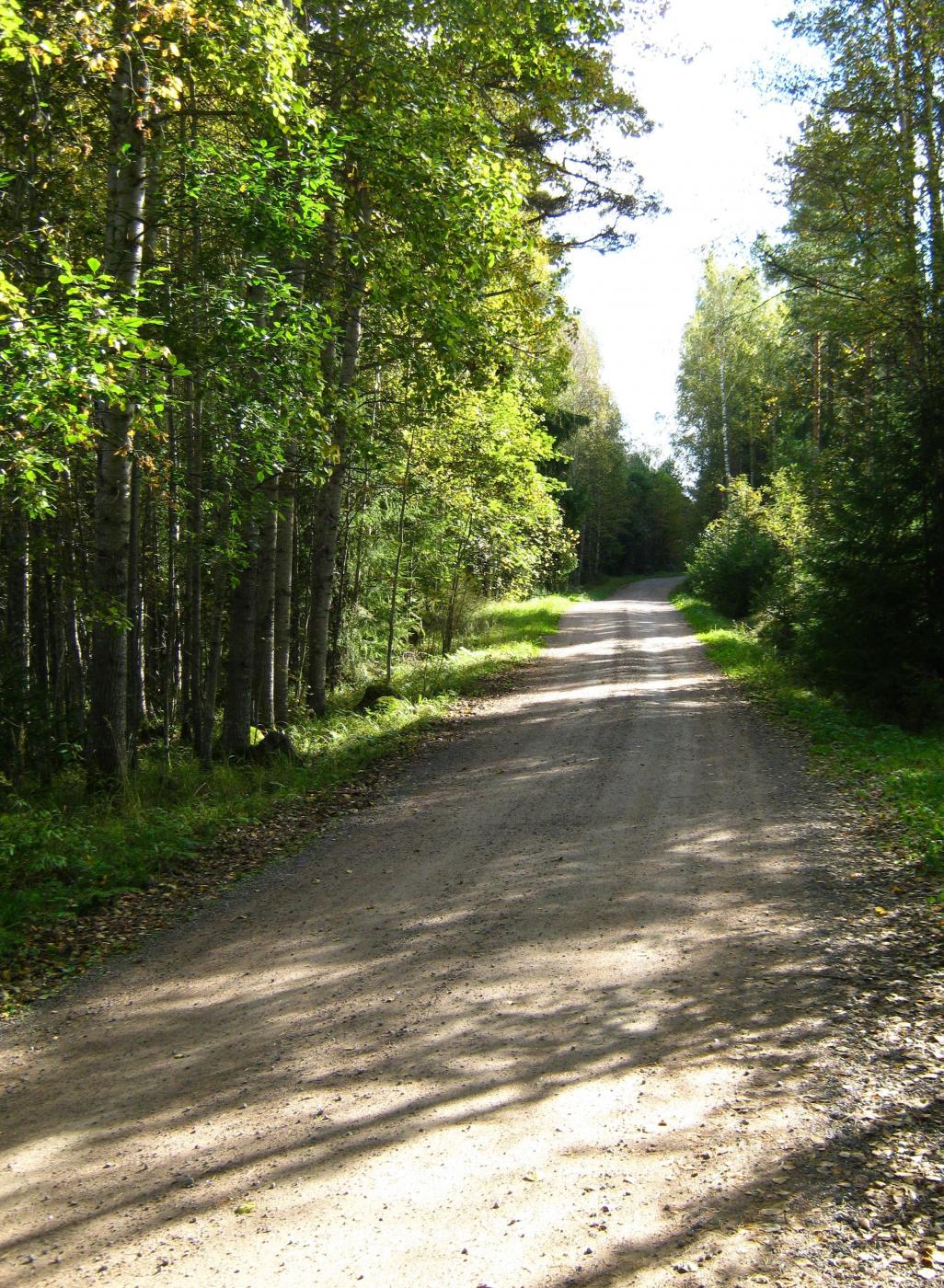 img_1785.jpg