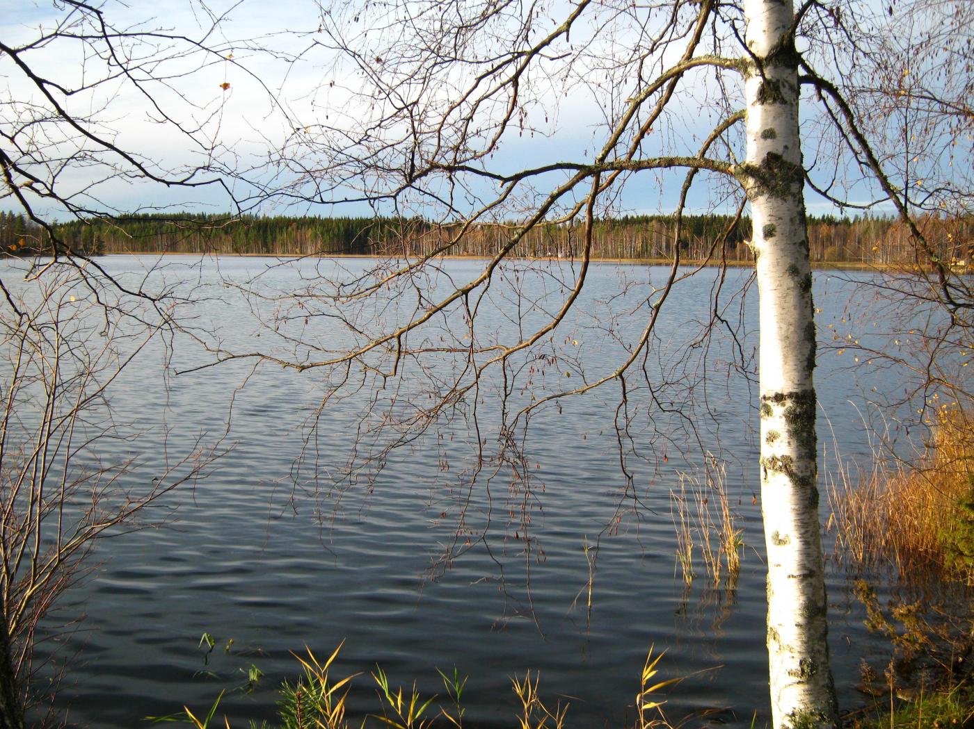 img_2610.jpg