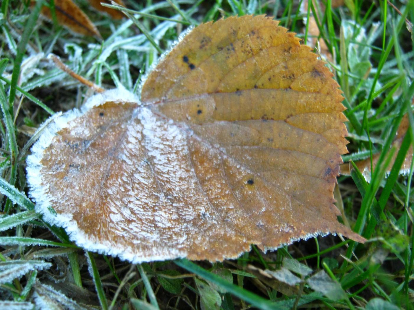 img_2695.jpg