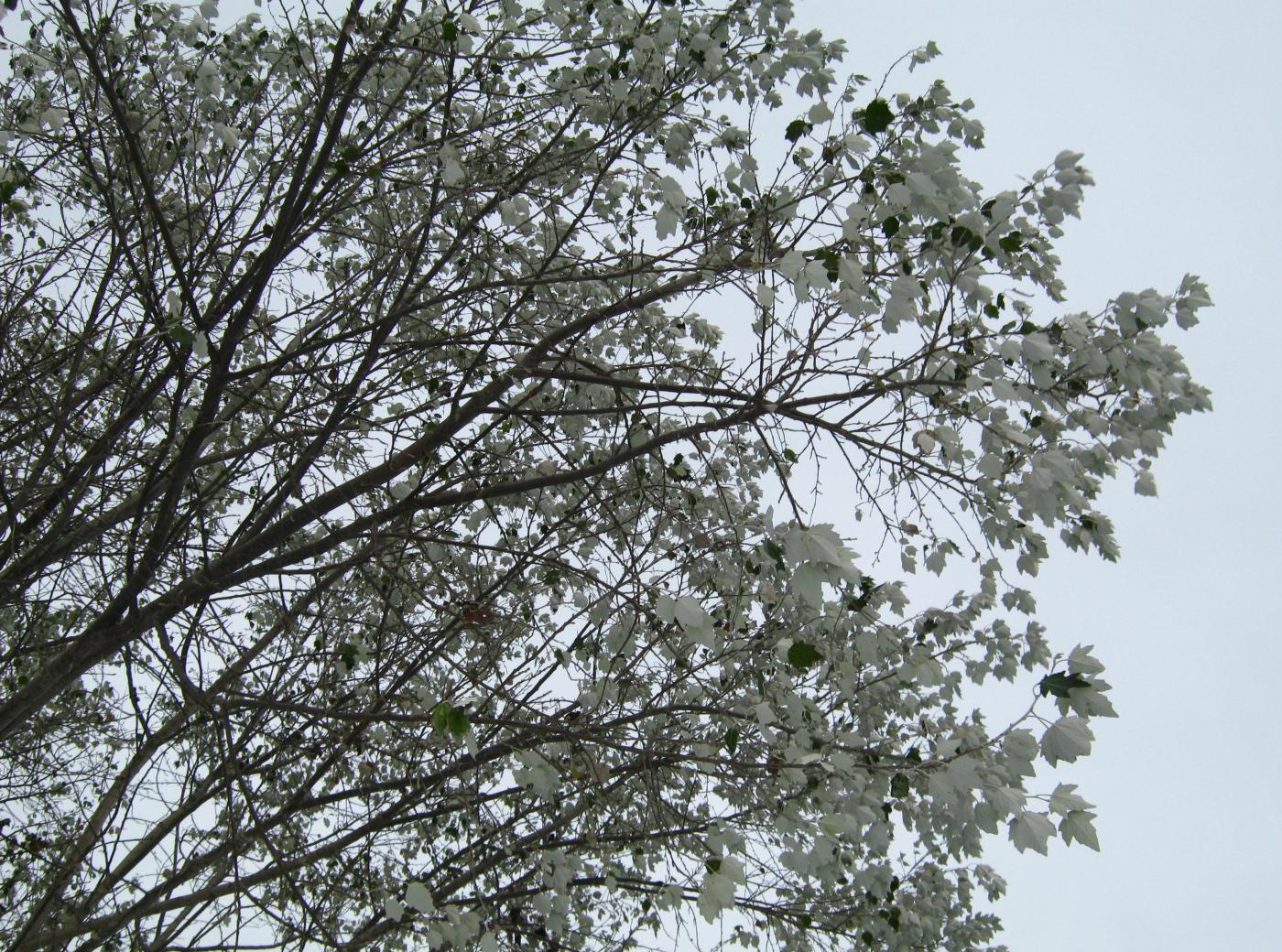 img_2777.jpg