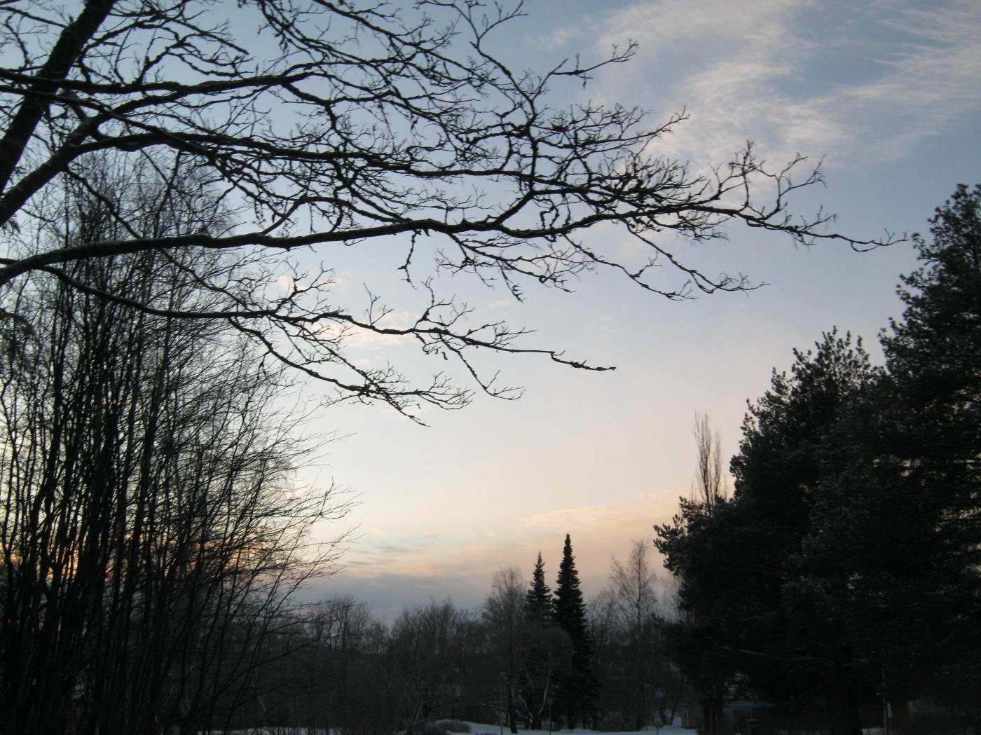 img_3157.jpg