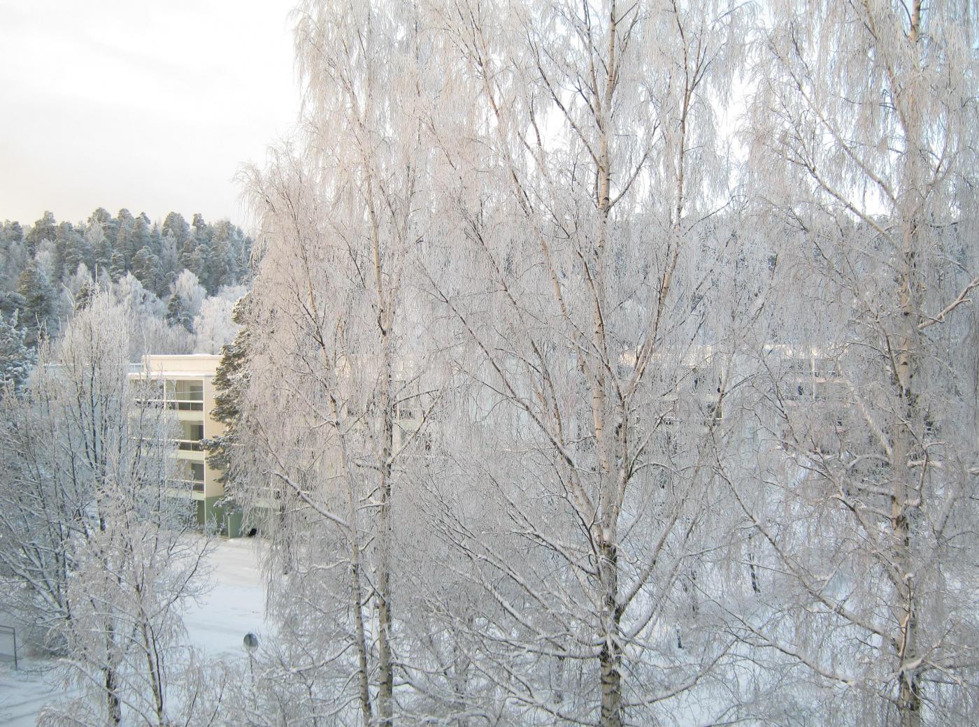 img_3208_-_kopio.jpg