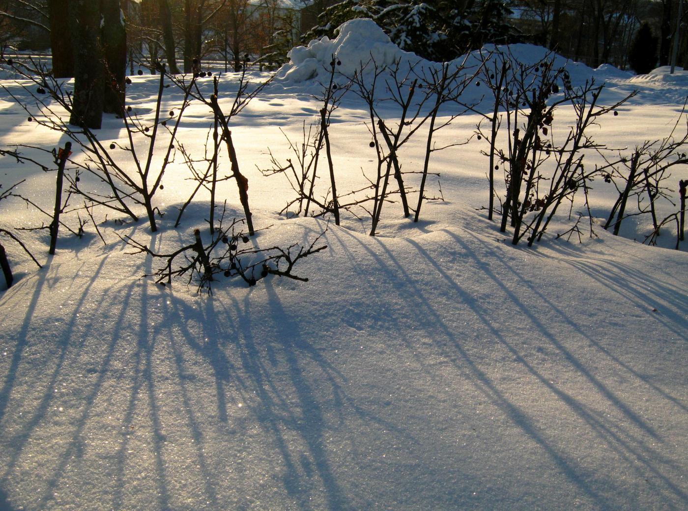 img_3685.jpg