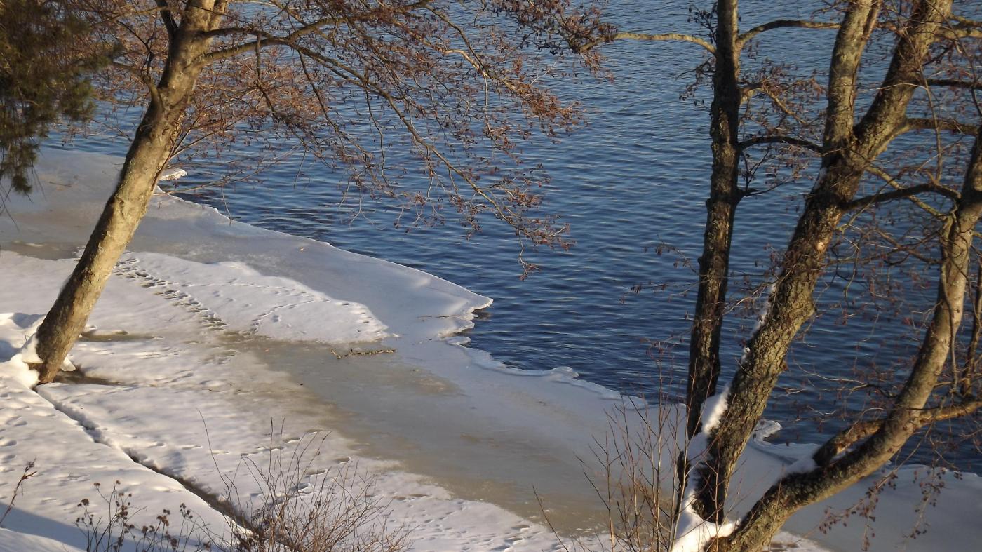 dscf8520.jpg