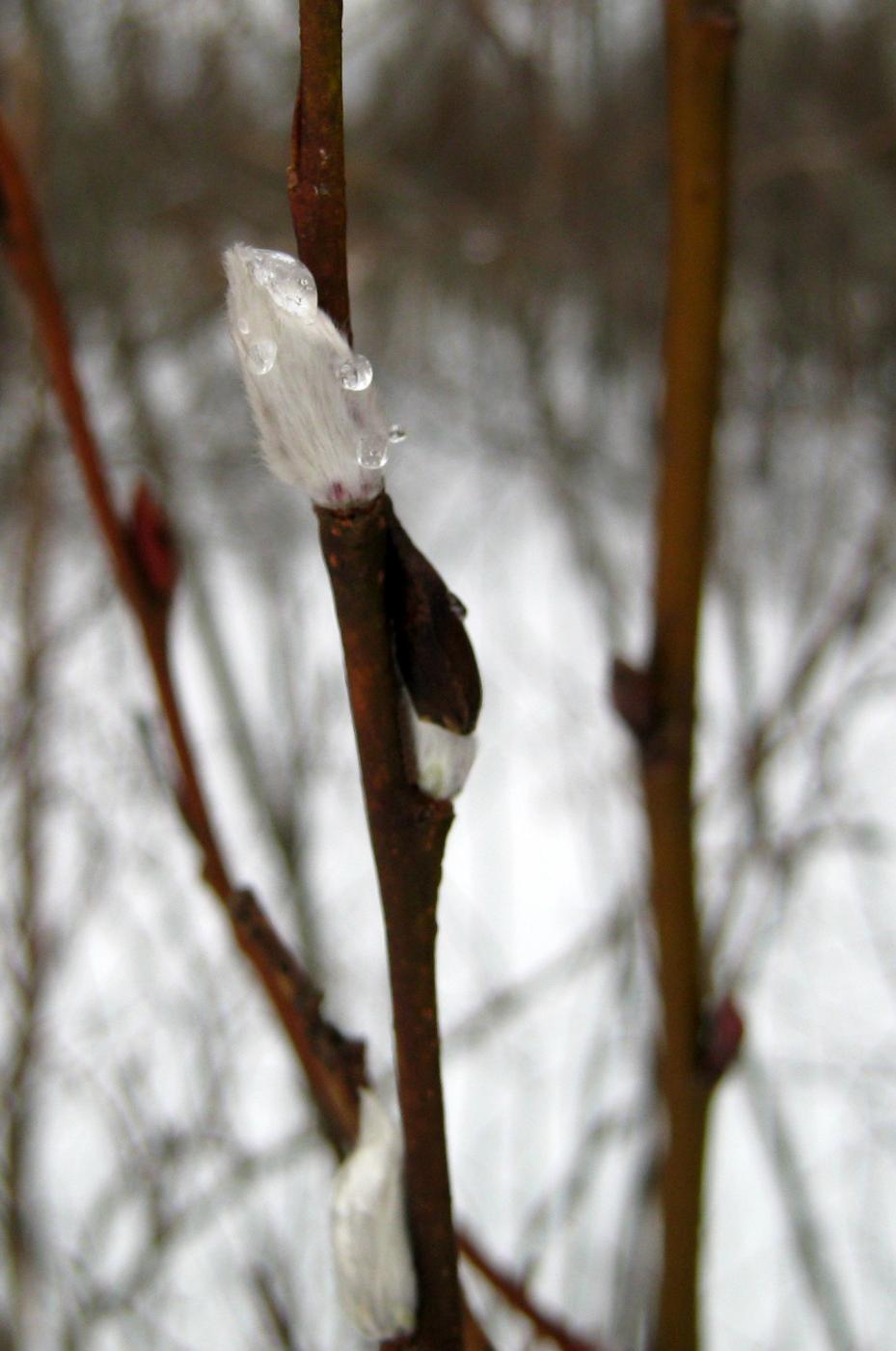 img_3989.jpg