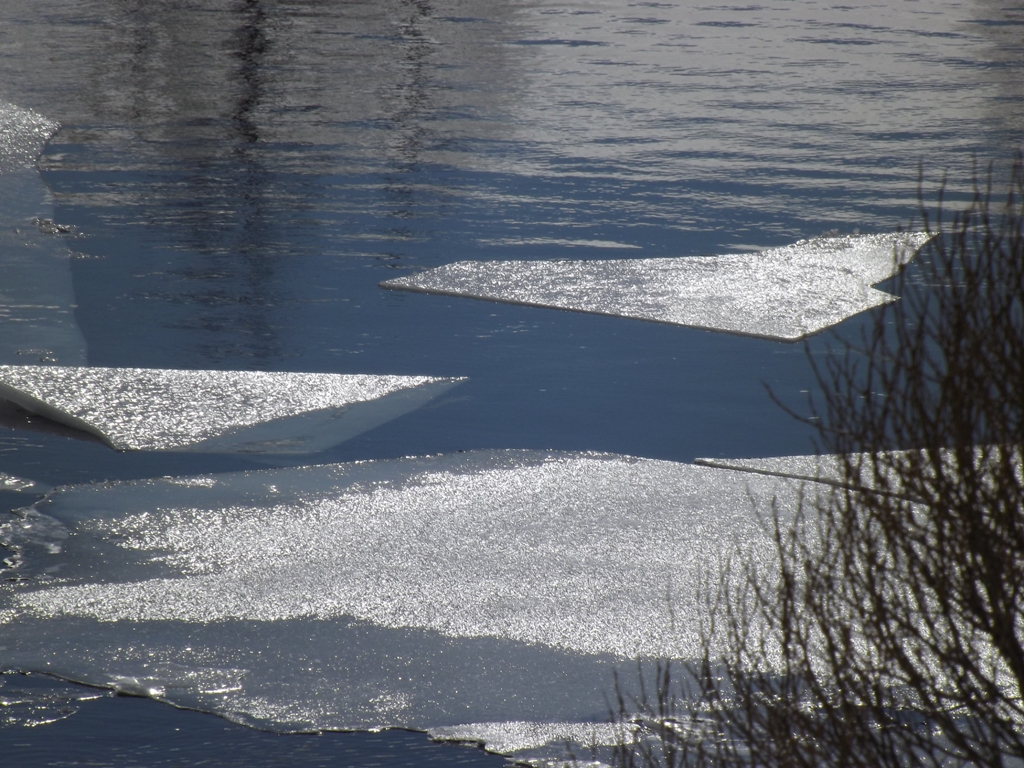 dscf1039.jpg